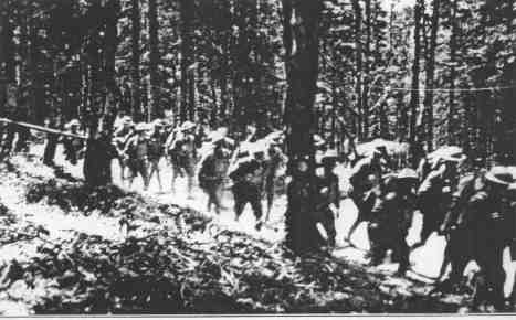 Members of the 35th Division, marching through the Vosges Forest, France, 1919. They were predominantly comprised by men from Missouri and Kansas, to whom Coolidge offered recognition in dedicating the Liberty Memorial, 1926. 