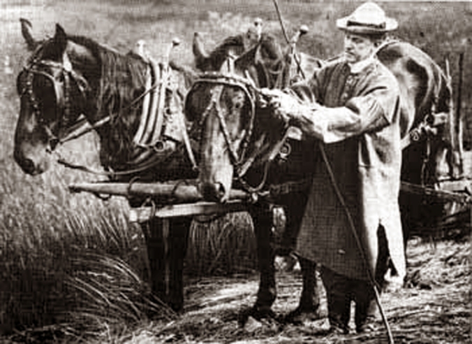 Then-Vice President Coolidge adjusting the gag swivel for one of his horses during work at the Notch, 1920. 