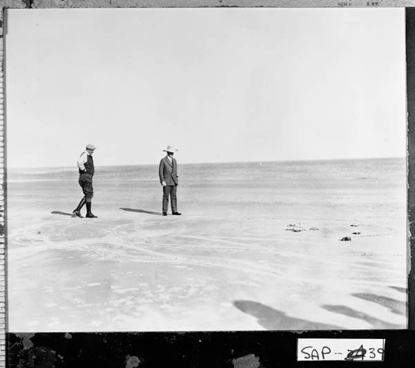 Coolidge and Mr. Coffin happen upon some sea turtles on the beach, Sapelo Island. 