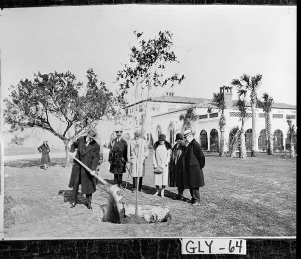 At Sea Island, December 1928, Coolidge planted "The Constitution Oak" on the grounds of The Cloister, the hotel established by the Coffins (pictured here beside the Coolidges).  