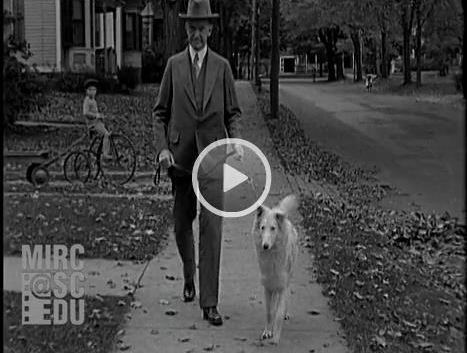 CC walking dog video