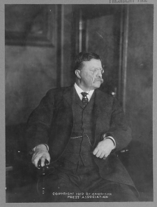 Teddy Roosevelt, the year he came back from retirement to run against his old friend, Taft, which split the G.O.P. and gave the victory to Woodrow Wilson, 1912 