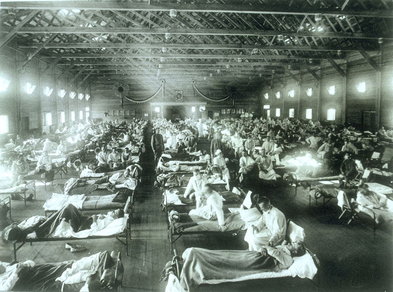 Influenza took the lives of 6 million people in 1918. Those who survived remembered how devastating the loss was, especially just as the War came to a halt. 