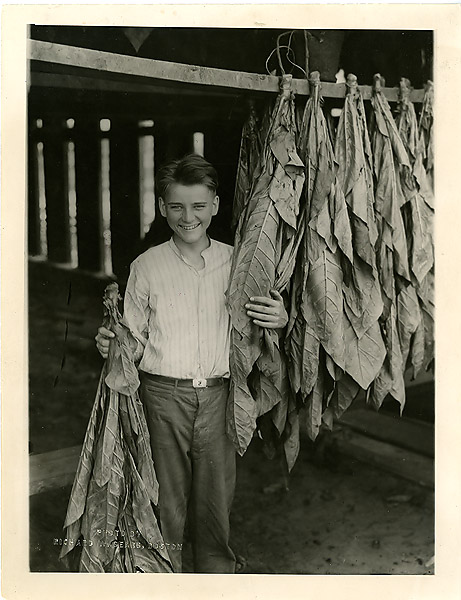 Cal Jr. at work on local tobacco fields, summer of 1923 