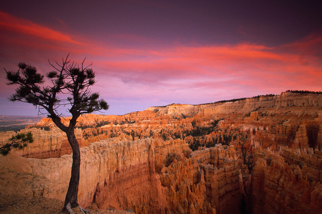 19. Bryce Canyon National Park, Utah, established February 25, 1928. Courtesy of Atlantide Phototravel/Corbis. 