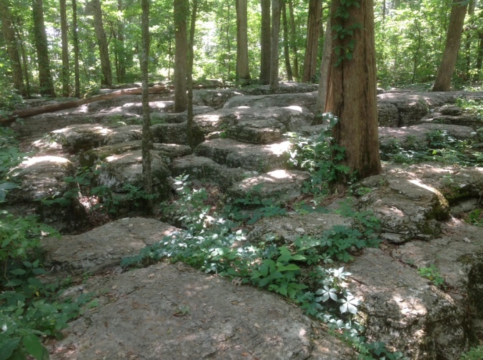 17. Stones River National Military Park (now Battlefield), established as such by Coolidge on March 3, 1927. Those who fought here called it the Slaughter Pen. This glimpse of the terrain helps explain why. 