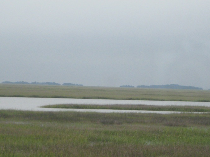 Peering into the distance for Sapelo Island, where Coolidge stayed with the Coffins at what is now known as the Reynolds Mansion. 