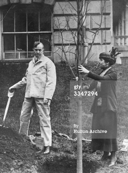 Governor and Mrs. Coolidge transplanting a tree in front of the State House in Boston, April 6, 1920. Courtesy of Gettys Images. 
