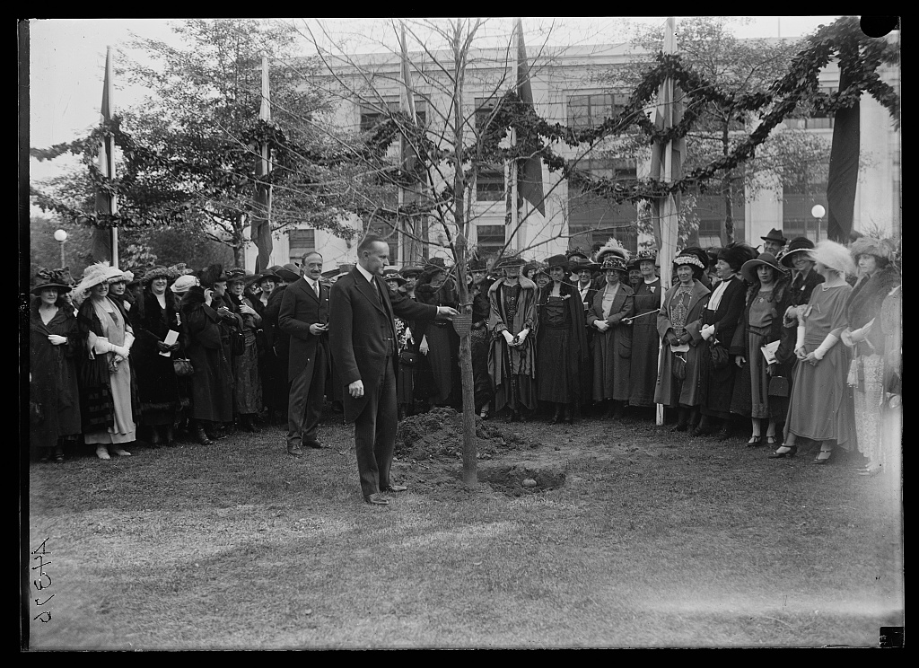 Calvin Coolidge planting commemorative tree, 1922. Courtesy of the Library of Congress. 